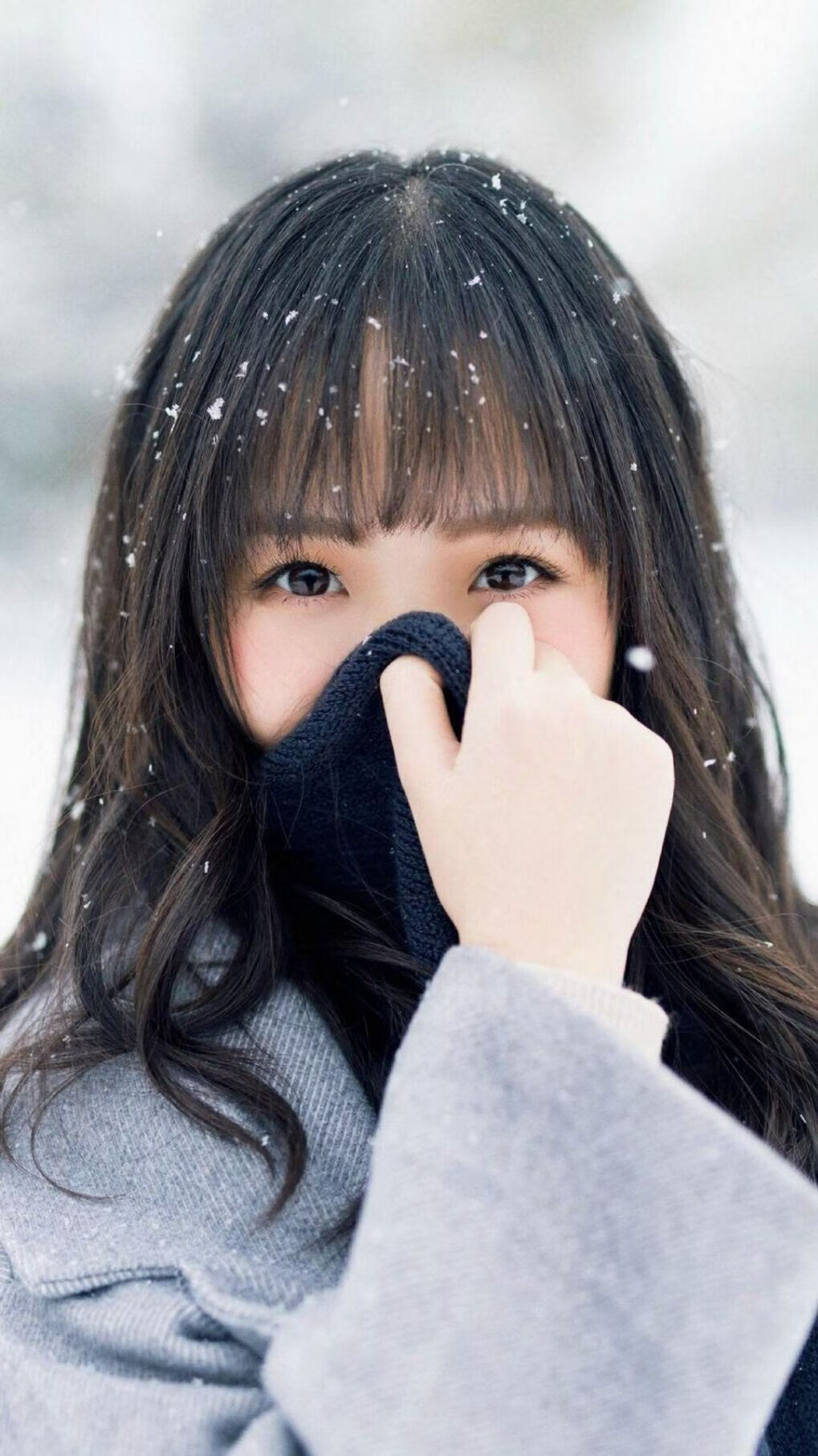 _极地冰川登山:攀越天际线的壮丽旅程_,极地冰川在哪里