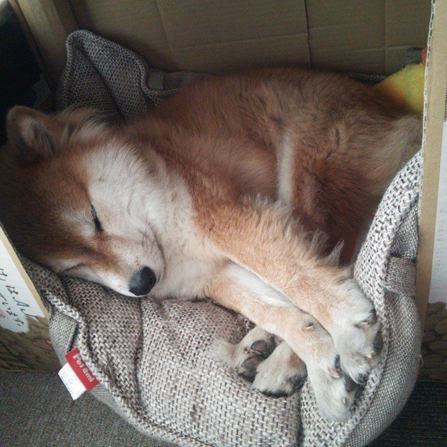 _骑士队士气高涨,团队配合逐渐磨合_,骑士队训练