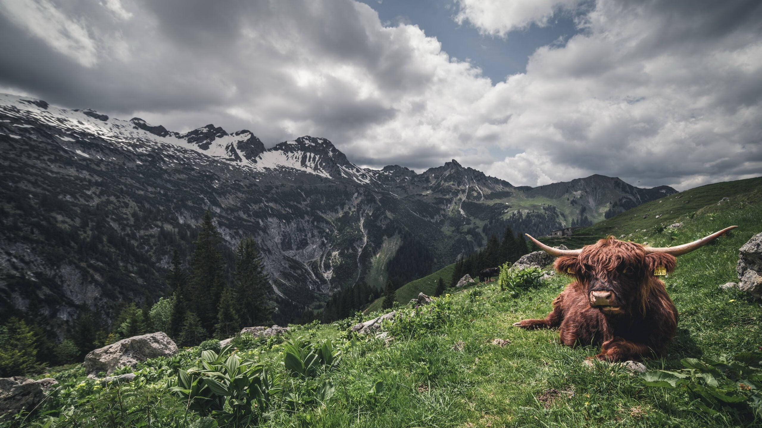 《Faker谈比赛经验：从新人到千万观众焦点》，faker接受采访