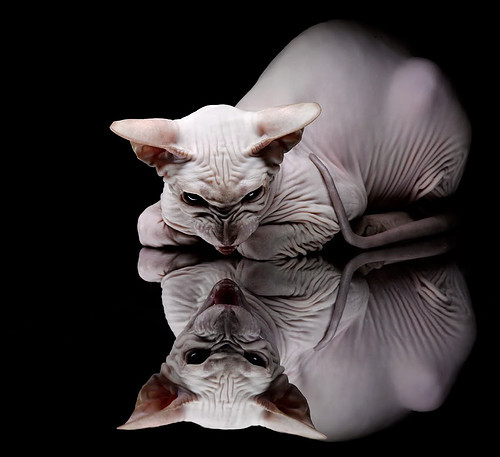 足球场馆智能化建设全面推广，足球场管理系统