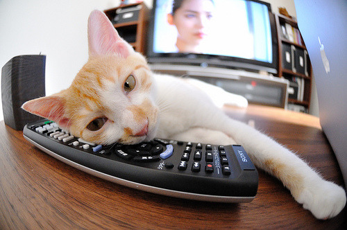 kaiyun开云·官方网站-足球场馆智能化改造，提升管理效率，足球场改造施工方案