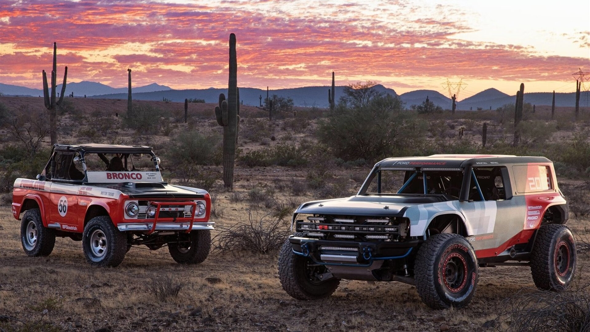 阿尔法·罗密欧全新车队计划揭秘，阿尔法·罗密欧这种车