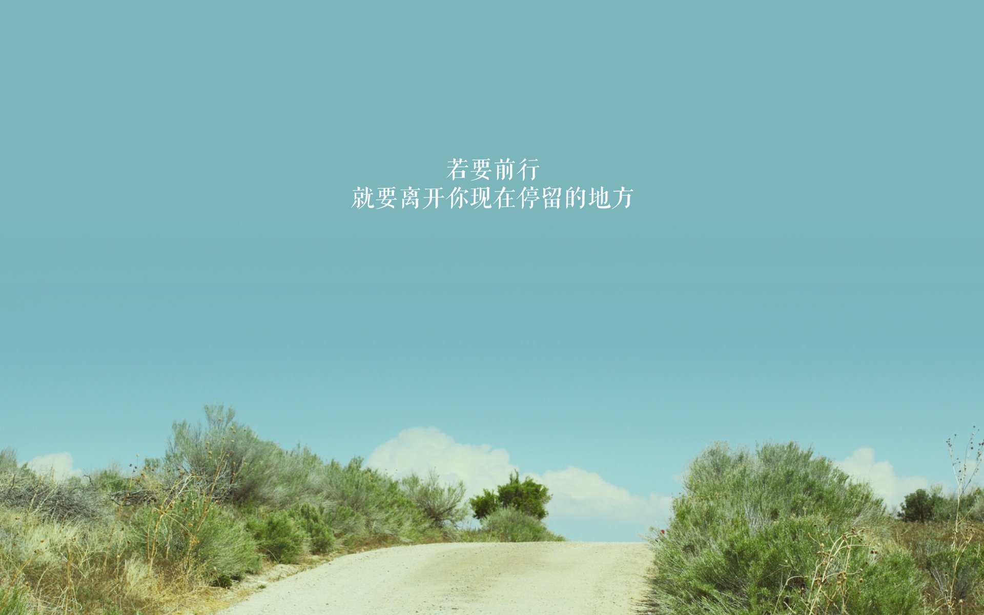 kaiyun开云·官方网站-中锋是否将回归现代足球主角地位，足球比赛中锋