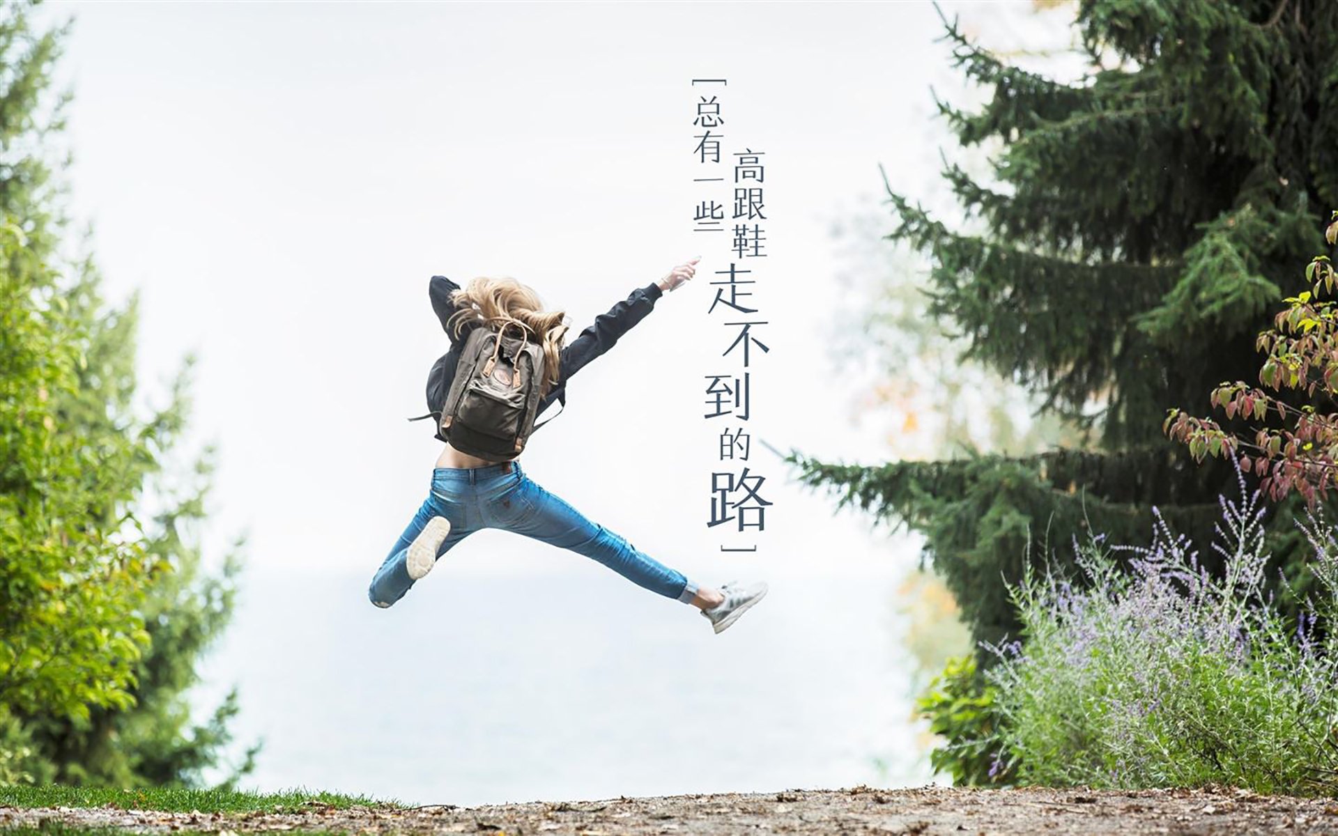 克罗地亚马术协会推出马匹健康管理系统,提升马匹福利。,克罗地亚圣马可教堂