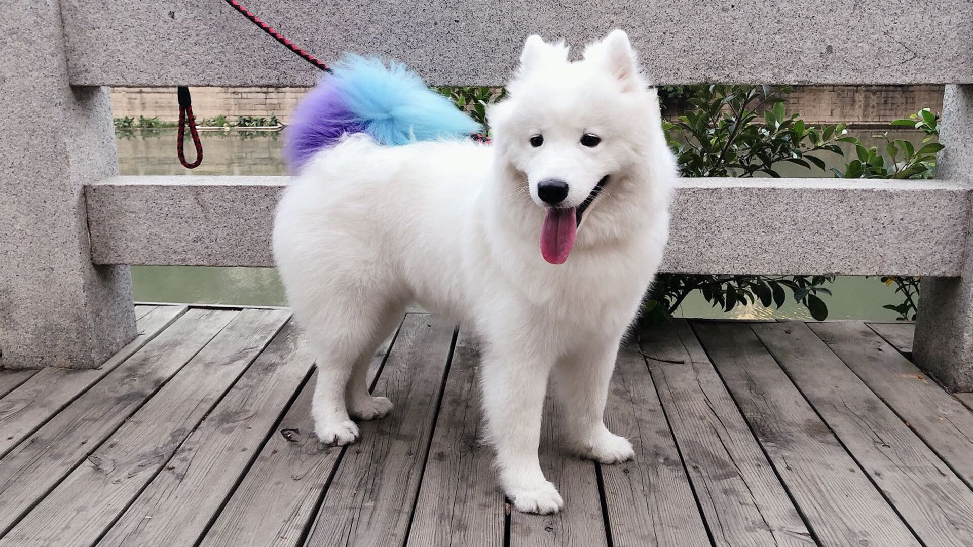 墨尔本联赛季连胜提升信心,墨尔本超级联赛