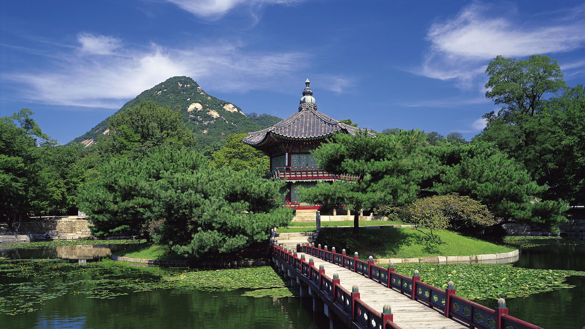 开云平台-墨尔本联防守强度逐步加强，墨尔本联队vs国王