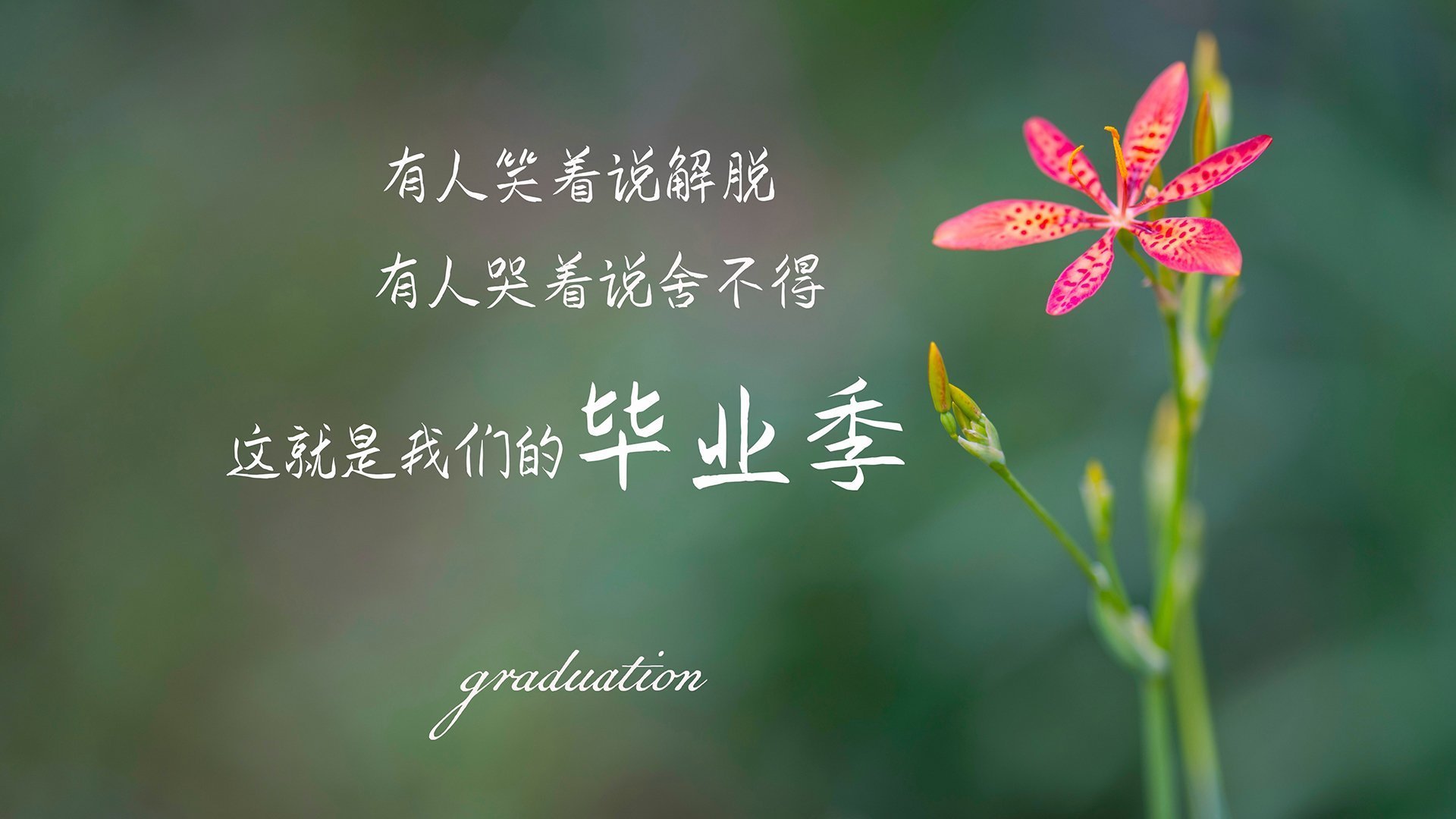 蓝月亮客场负于南安普顿,状态堪忧,蓝月亮(中国)有限公司