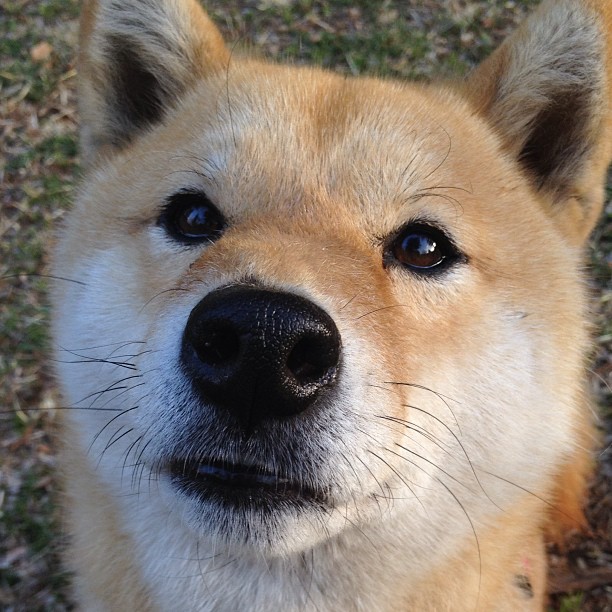 重磅：塞维利亚险胜晋级，欧冠半决赛！，2020欧洲杯塞维利亚