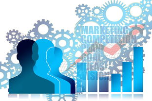 开云网页版-中国篮球职业联赛市场营销创新策略研究，篮球训练营市场营销有关的案例