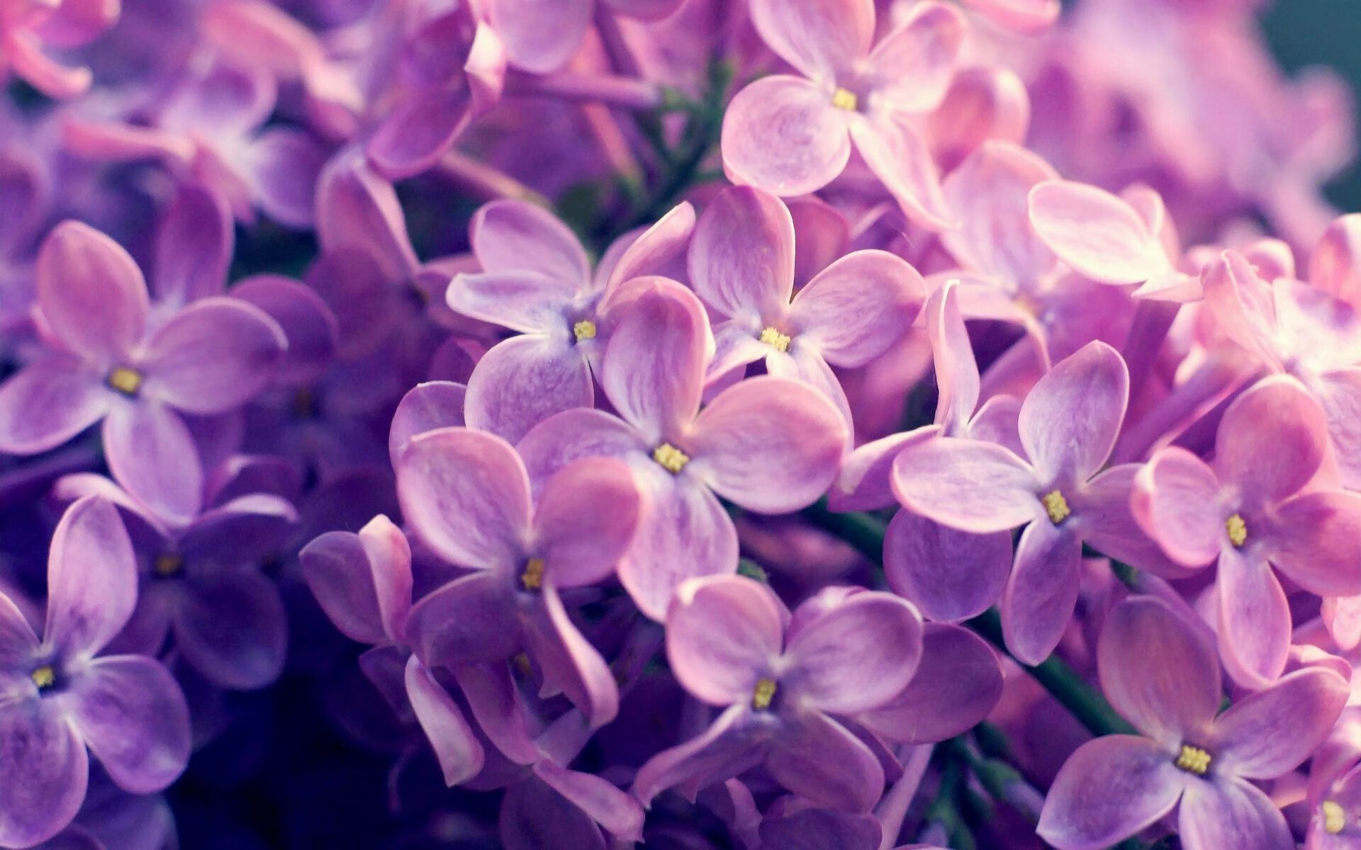 体育赛事品牌建设规划方案,如何打造体育赛事品牌价值