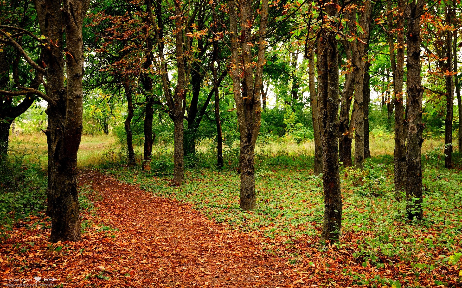 校园体育设施智慧运维系统建设方案,校园智慧体育云平台移动端