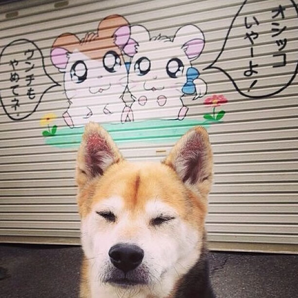 开云首页登录-赛季伤病潮：关键球员缺阵对战局的影响，nba本赛季伤病