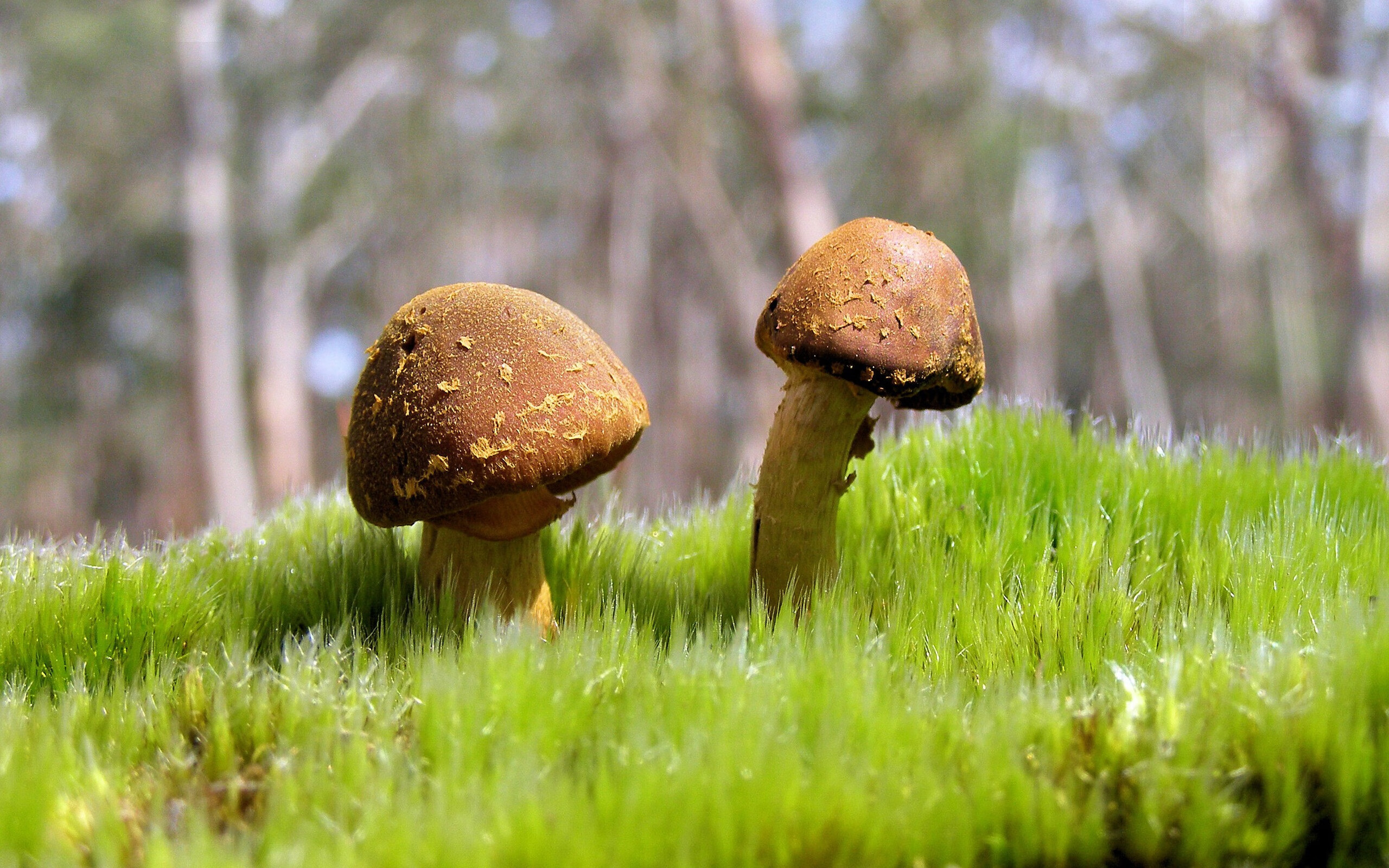 开云官方-“沙滩合球成沙滩赛场新亮点，天府新区期待惊艳”