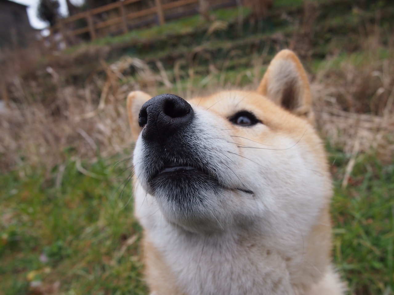 全国青少年自行车联赛总决赛四川站打响，青少年自行车大赛