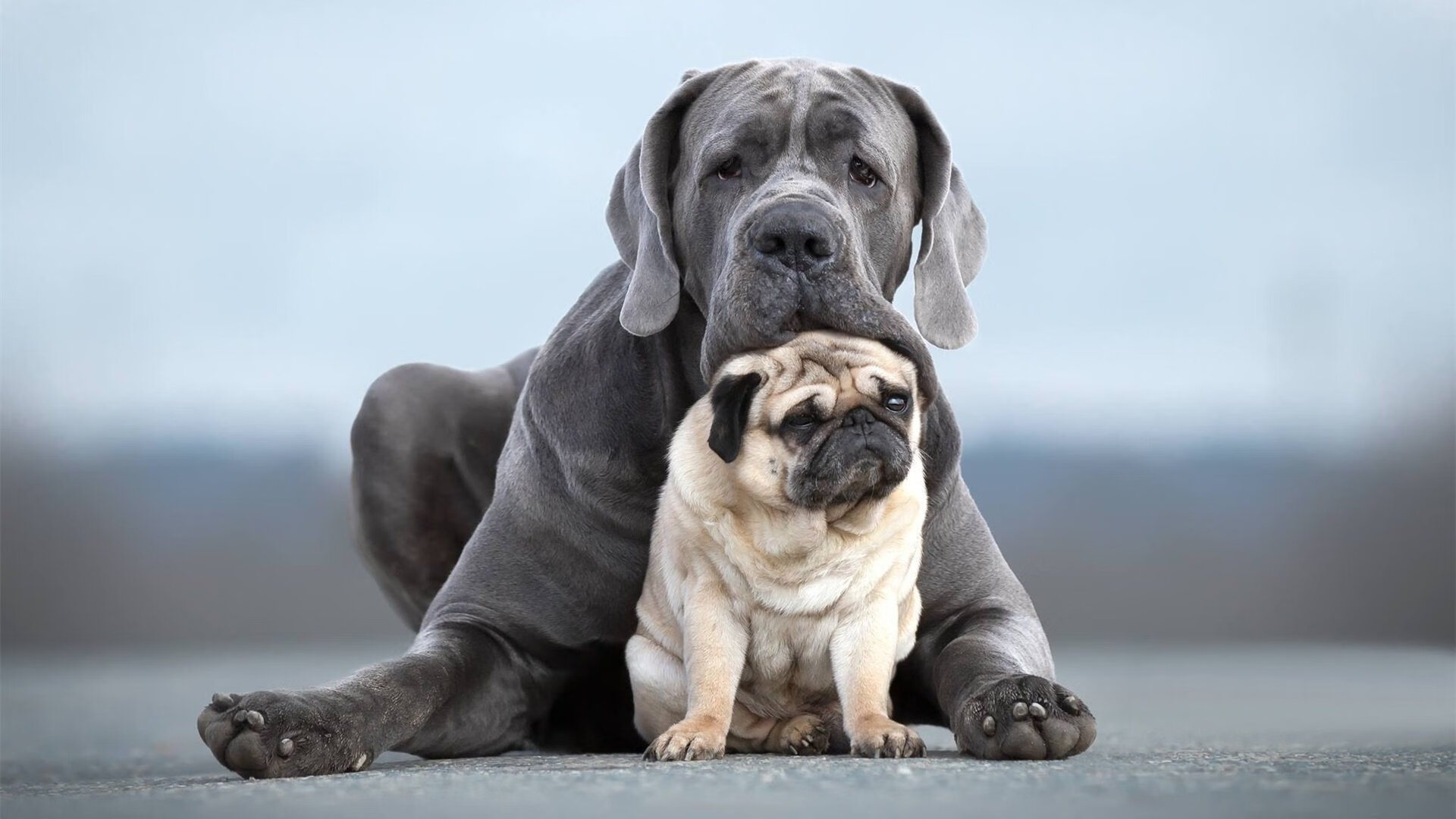 国家队战术风格切换是否造成执行效率下降,国家队战斗方式