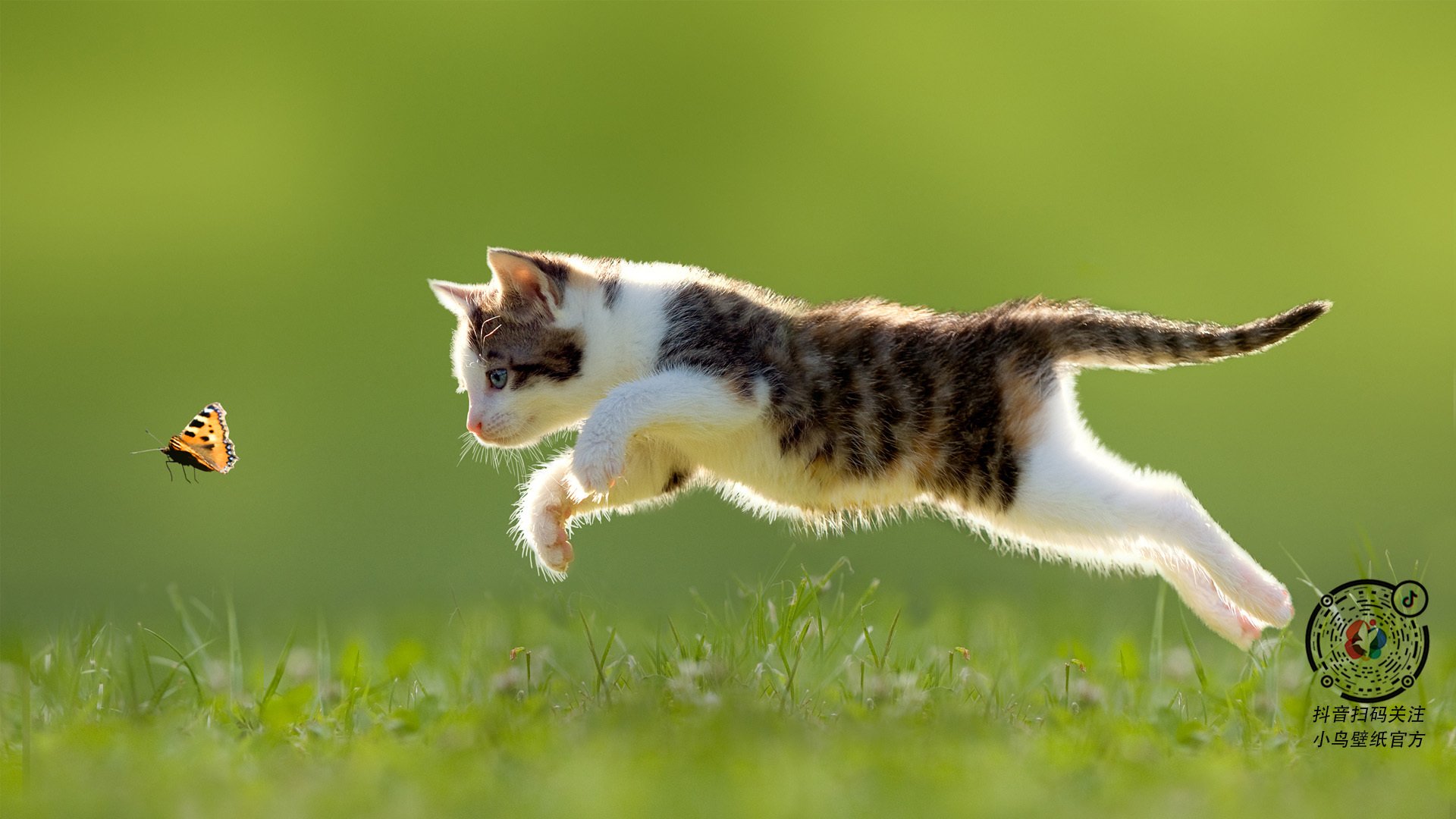 基层足球缺乏长效机制,足球训练存在的问题