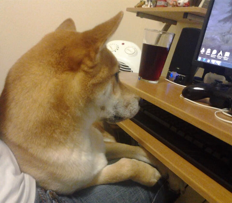 开云平台-教练调度风格是否直接影响球队体能分配方式，教练员如何有效调控运动员参赛过程