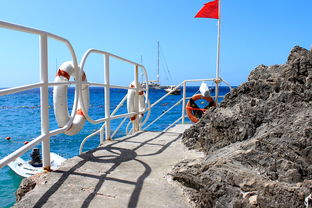 开云·Kaiyun网页版-海湾者未来青训体系逐渐完善，海湾技术