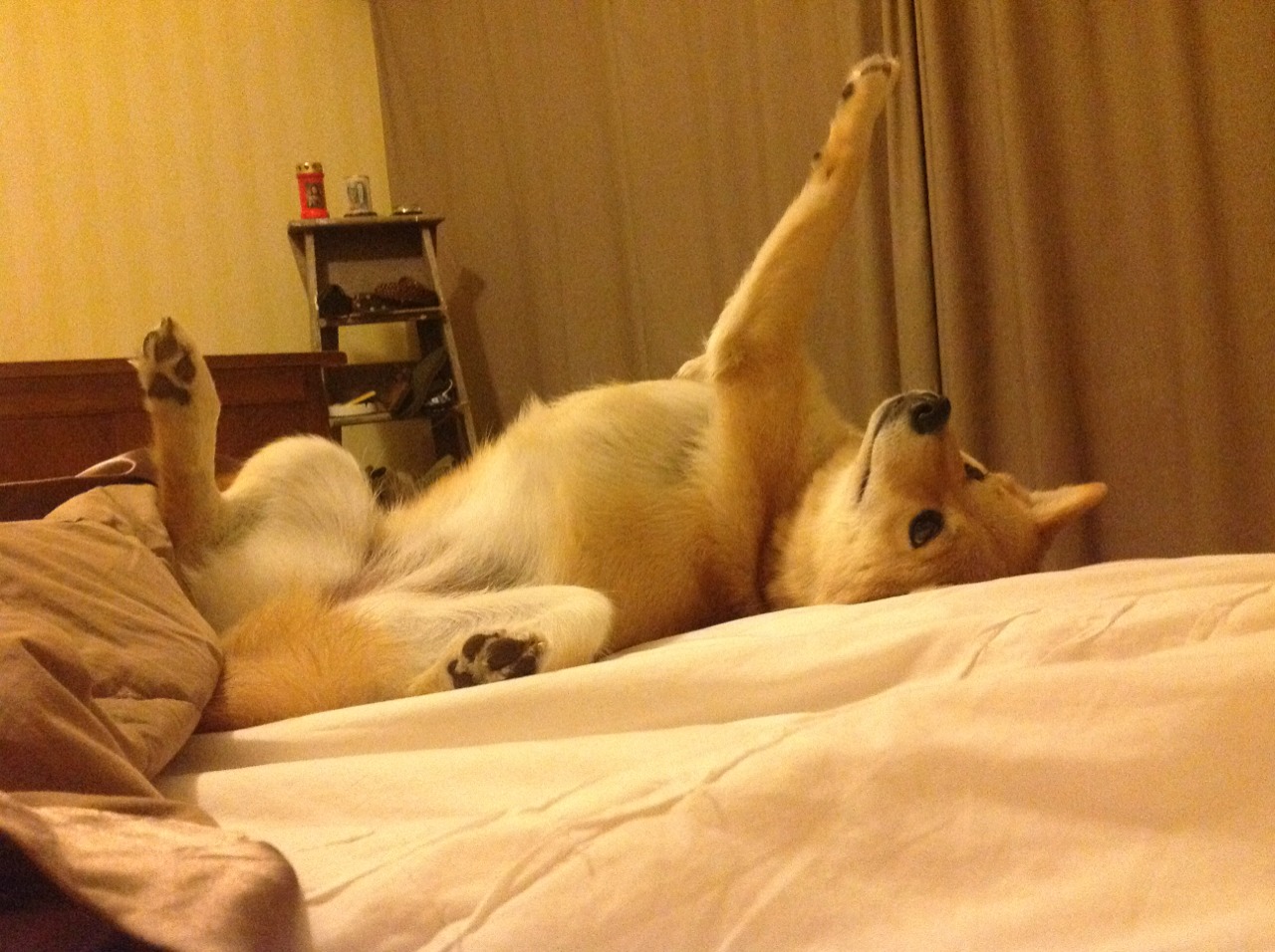 进攻主导权是否逐渐由传统中场向影锋倾斜,进攻性中场