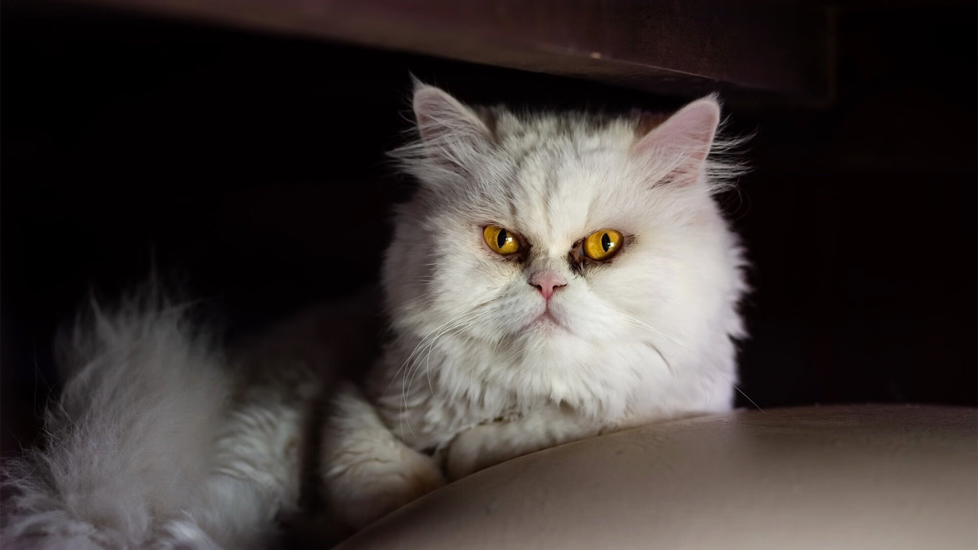 开云kaiyun-篮球夏令营开放报名日现场火爆吸引众多青少年报名体验，篮球夏令营课程