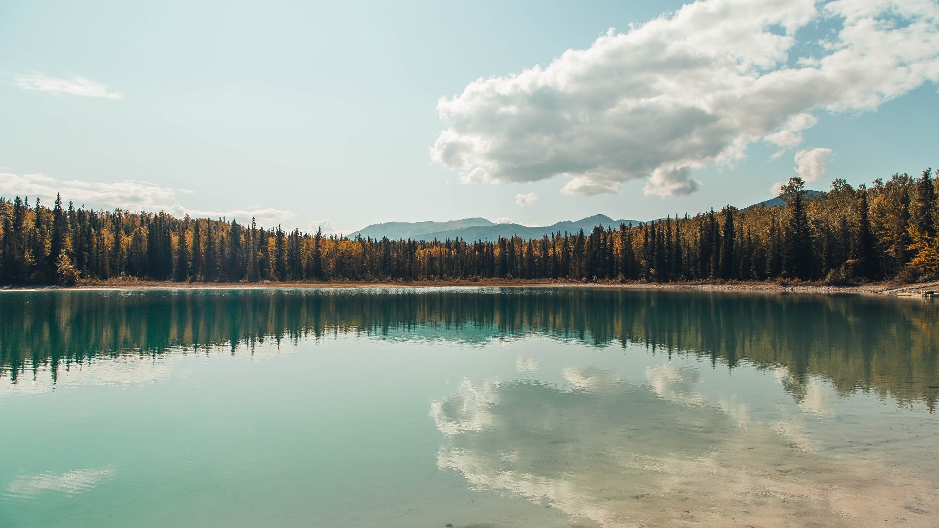 英超冠军冲刺：悬念持续升温！，英超 冠军