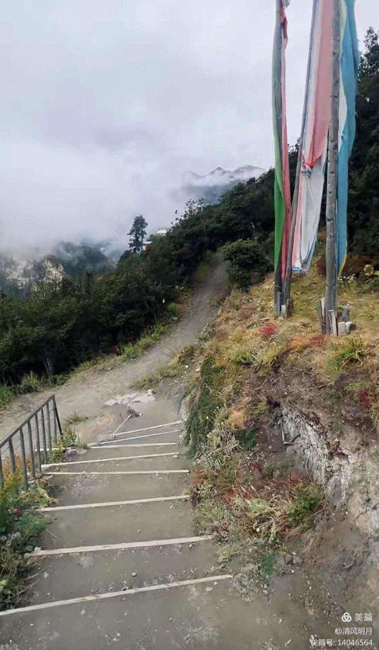 关于开云体育:中国足球“青训10年规划”成“空中楼阁”，球迷：看不到希望！的信息